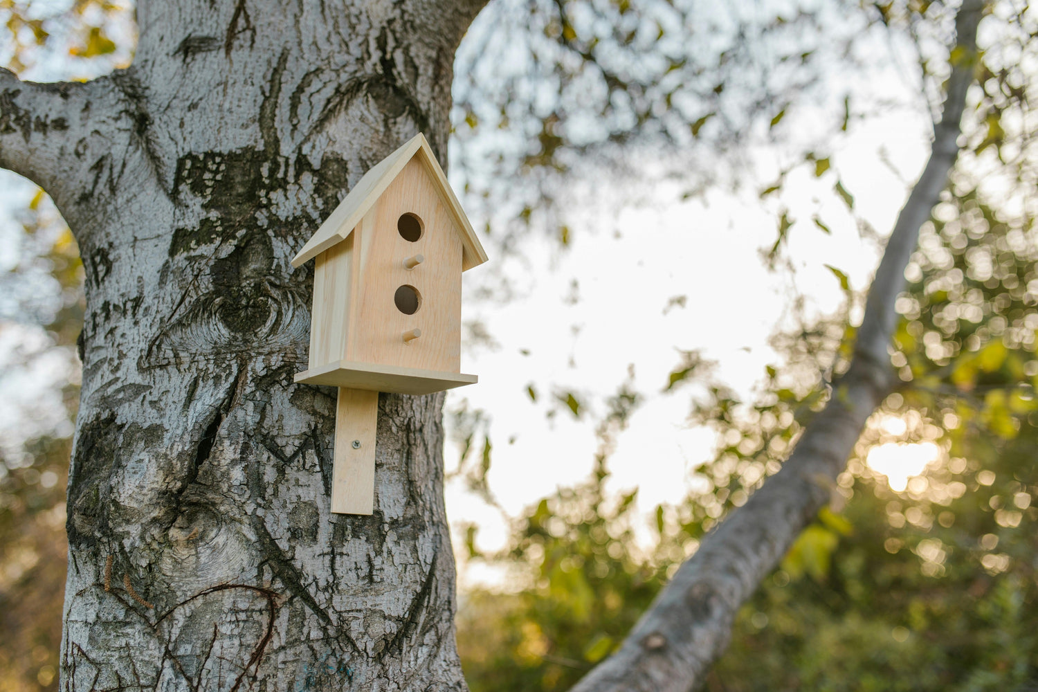 Comment prendre soin des animaux et insectes du jardin ?